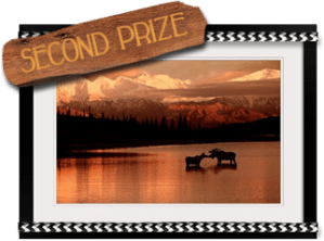 secondprize- rugged romance
